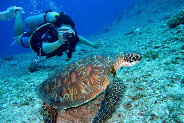 Scuba Diving Holidays