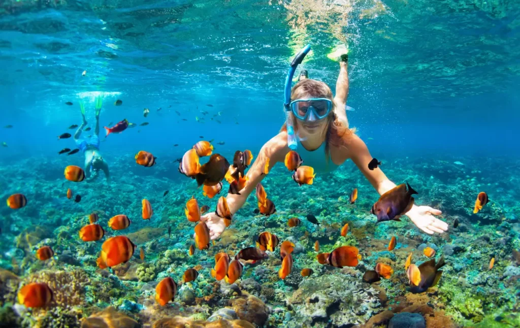 Snorkeling Holidays