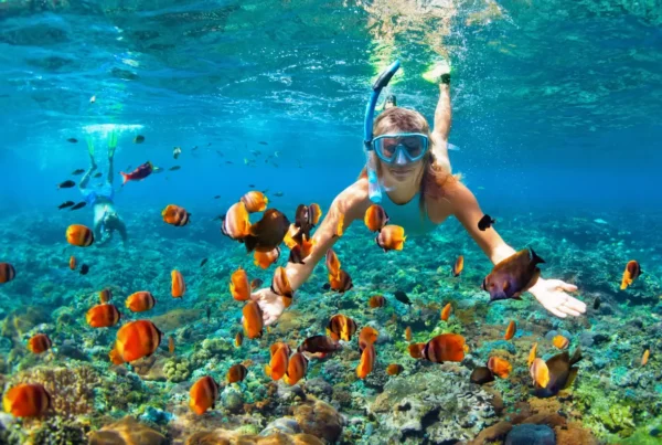 Snorkeling Holidays