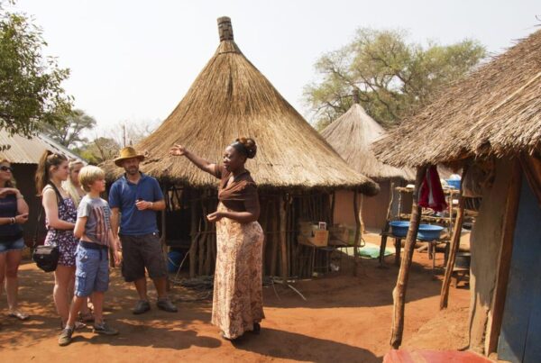 The Tale of the African Life