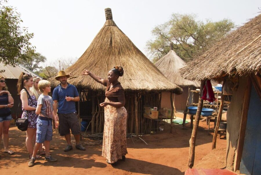 The Tale of the African Life