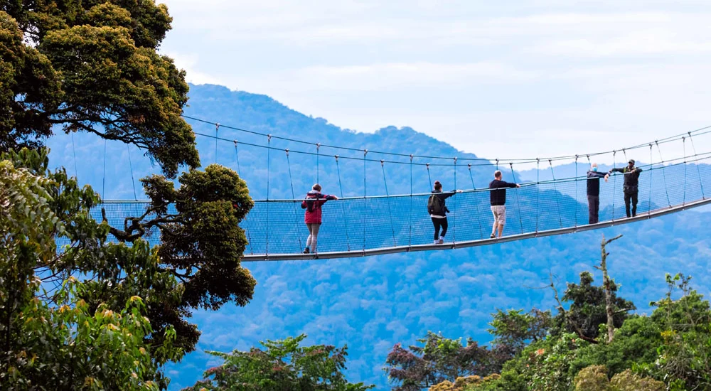 africa wildlife safaris nyungwe forest national park