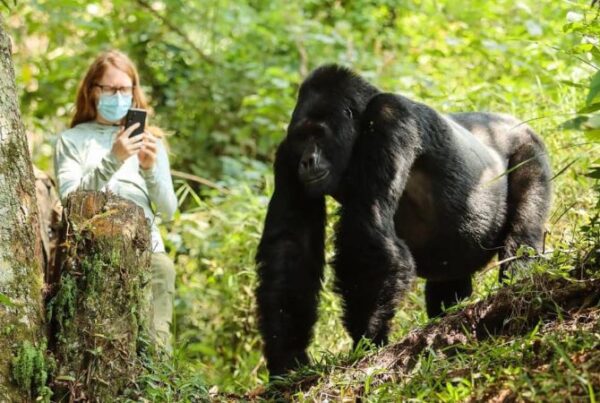 Why Bwindi and Zanzibar Belong on Your Travel List