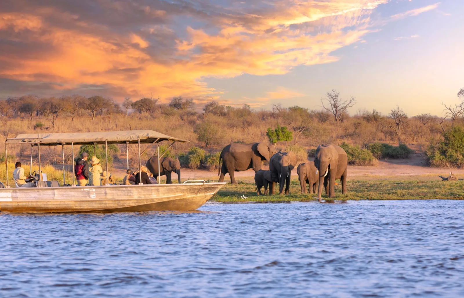 Safari in Botswana