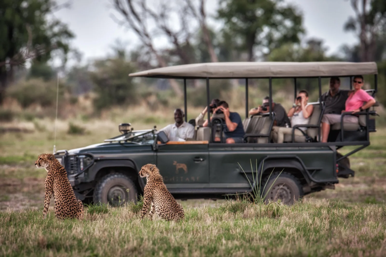 Safari in Botswana