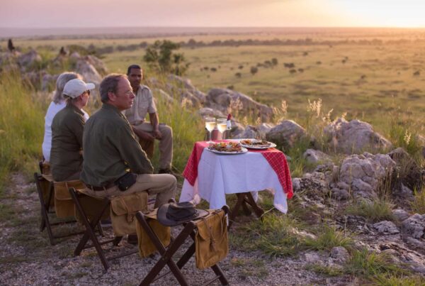 14 Days Above and Beyond