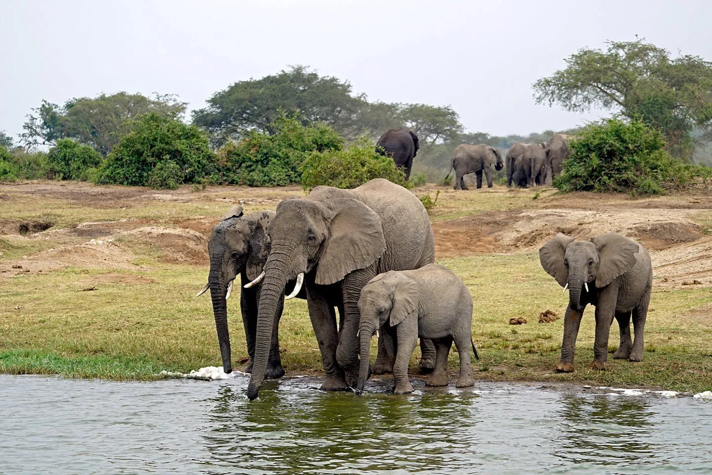 7-Day Unmatched African Safari