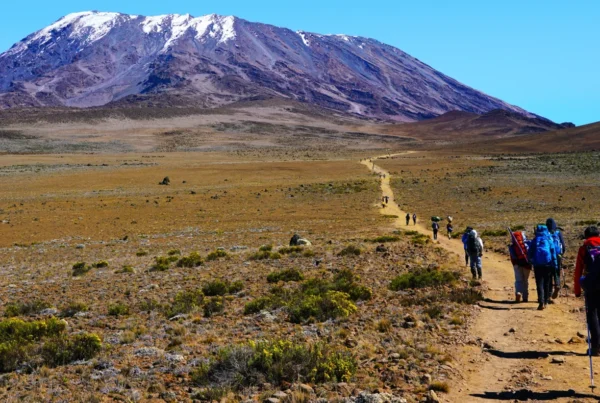 7 Days Machame Route – Climb Mount Kilimanjaro