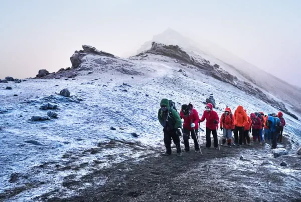 7 Days Rongai Route – Climb Mount Kilimanjaro