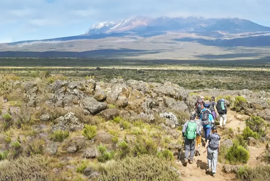 8 Days Lemosho Route – Climb Mount Kilimanjaro
