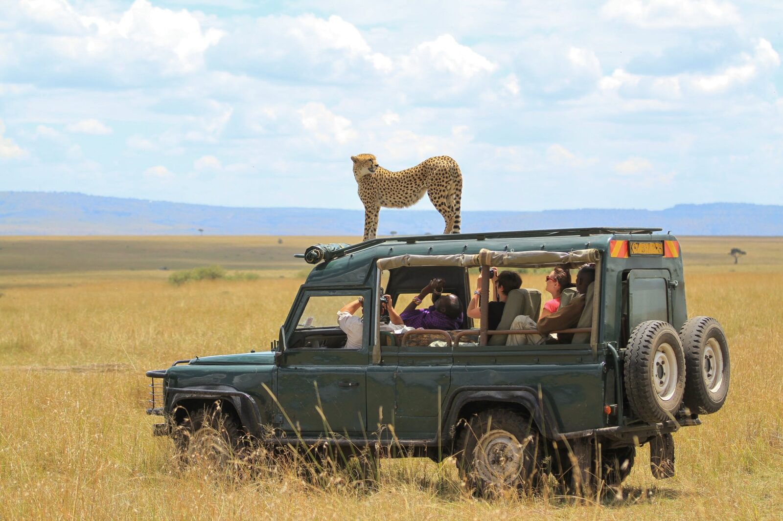 Africa Safari Packages
