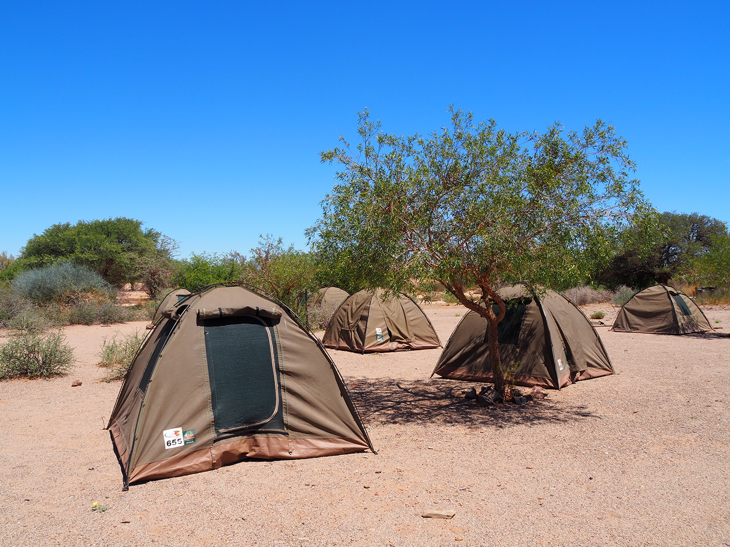 Africa safari destinations