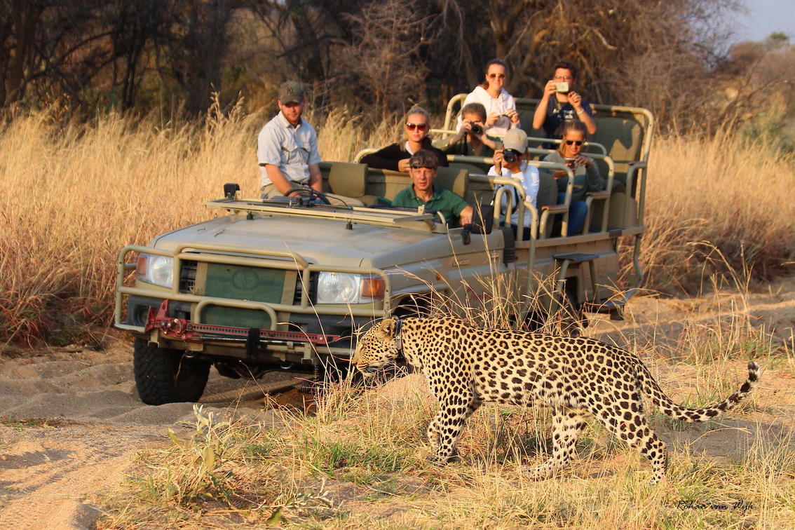 Africa safari trips