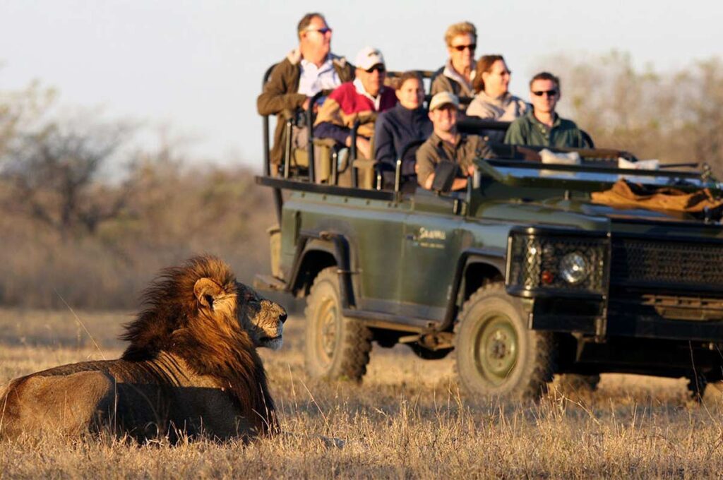 African Safari Tours