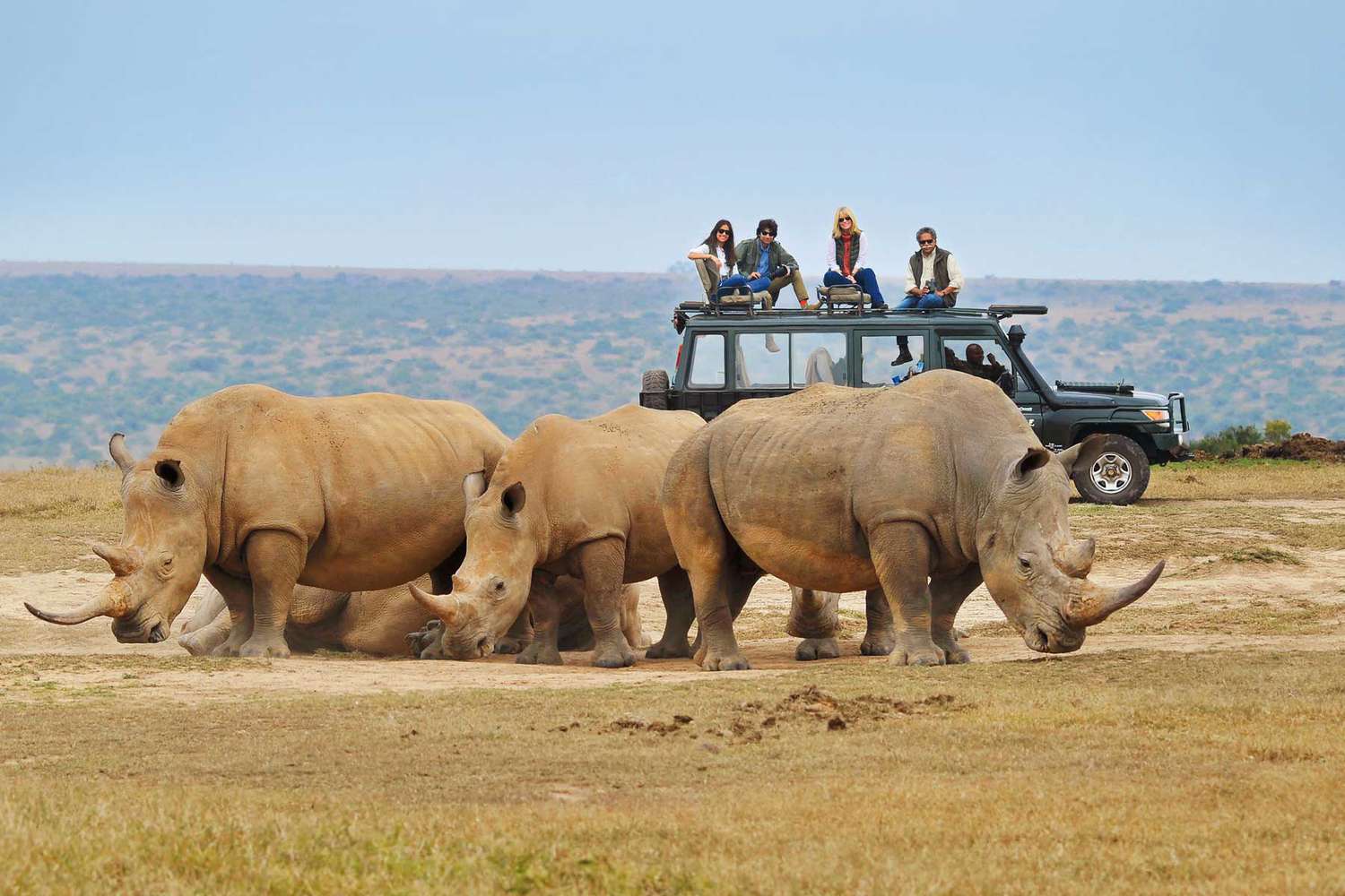 African Safari Tours