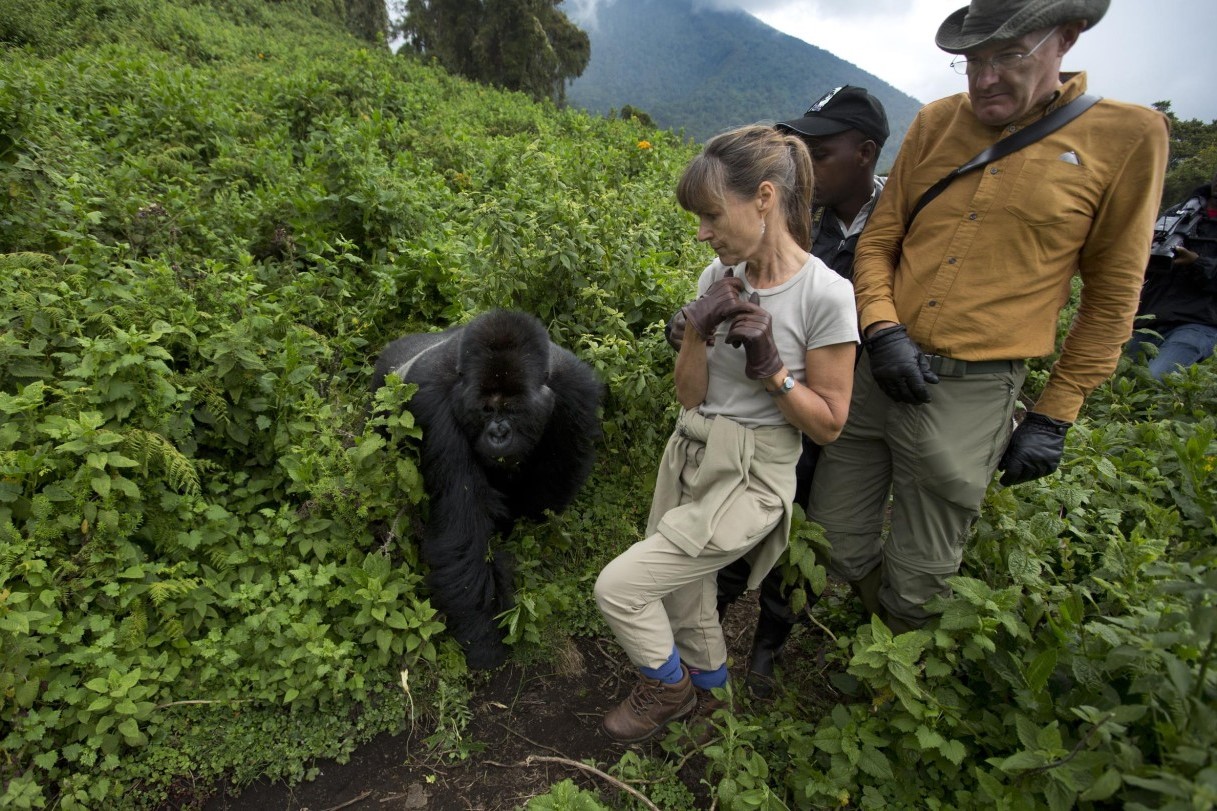 An Exceptional 3 Day Gorilla Trek