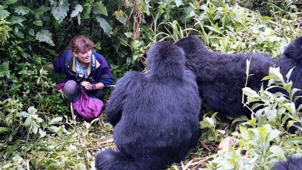 An Exceptional Gorilla Trek