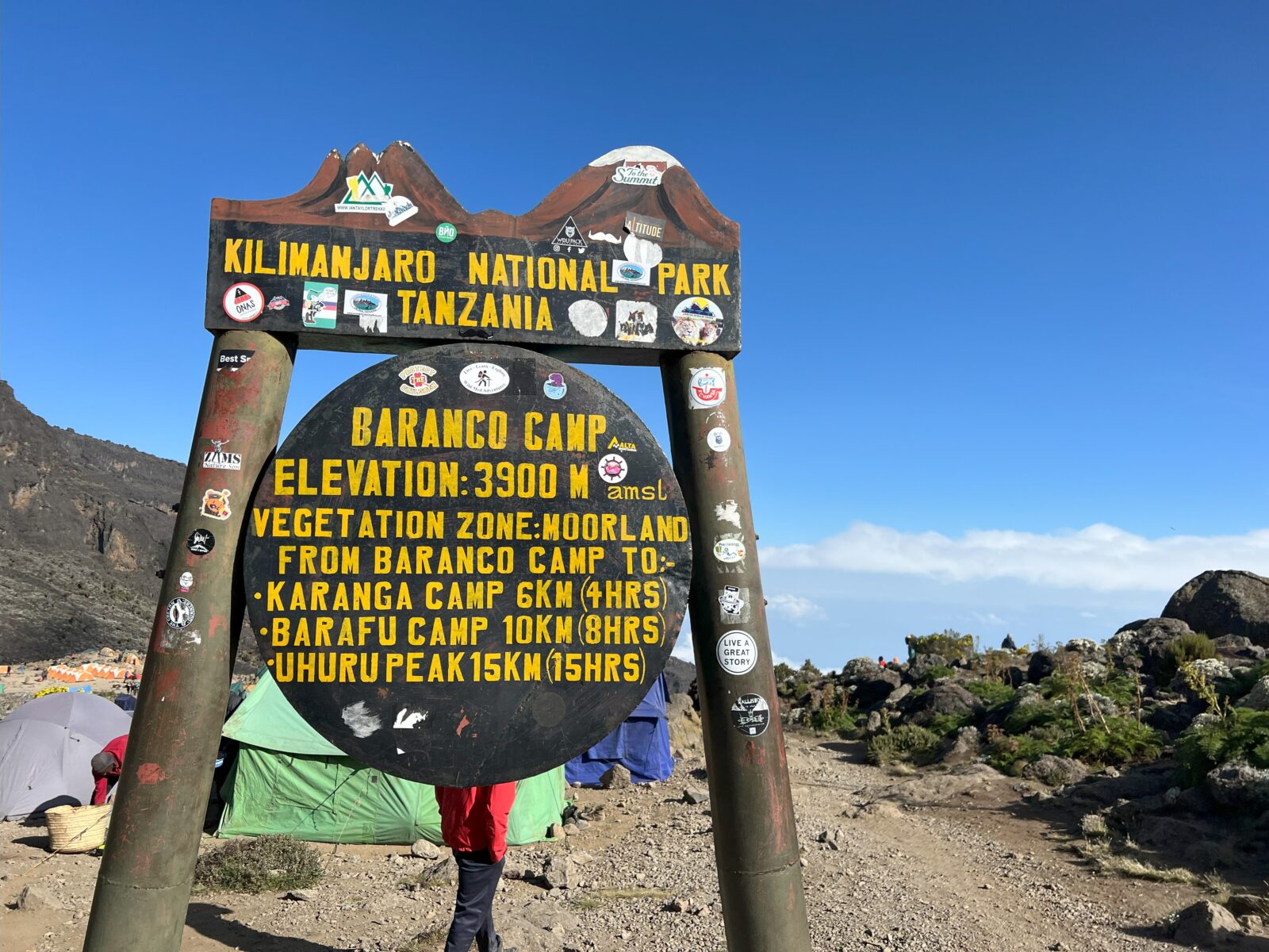 8 Days Lemosho Route – Climb Mount Kilimanjaro