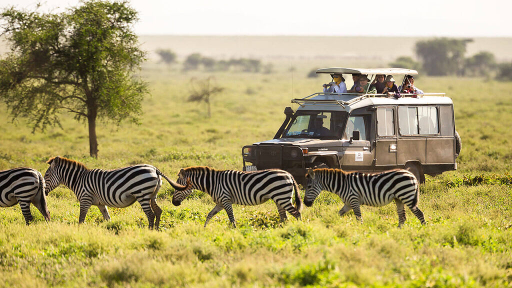Budget African Safaris