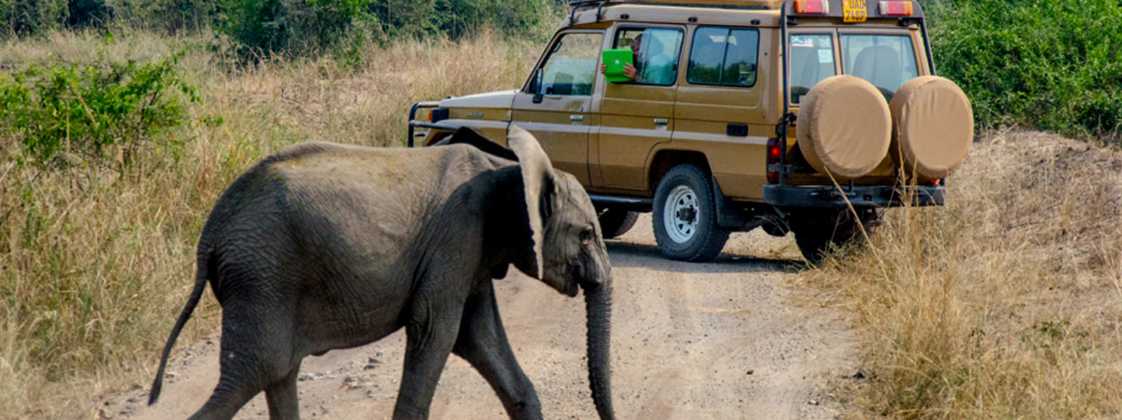 Budget African Safaris