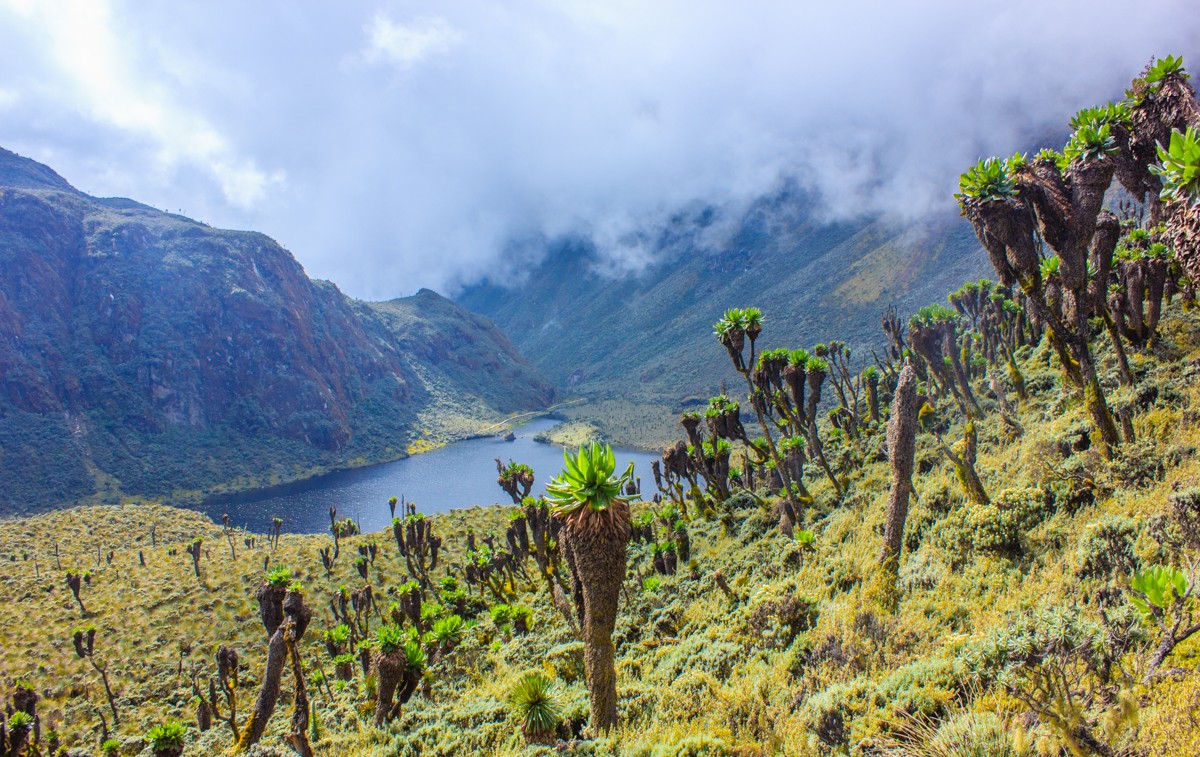 10 Day Rwenzori Mountains Climbing Itinerary to Margherita Peak