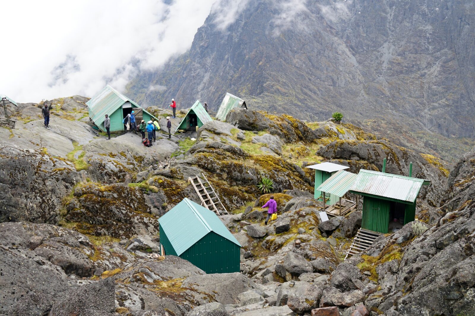 Rwenzori Mountains Full Climbing Itinerary (Central Circuit + Kilembe Trail)