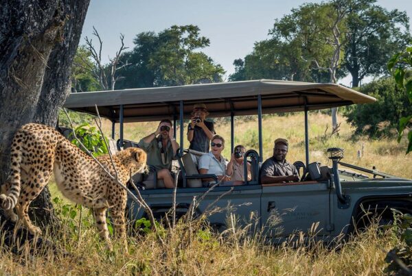 Family Trip to Serengeti