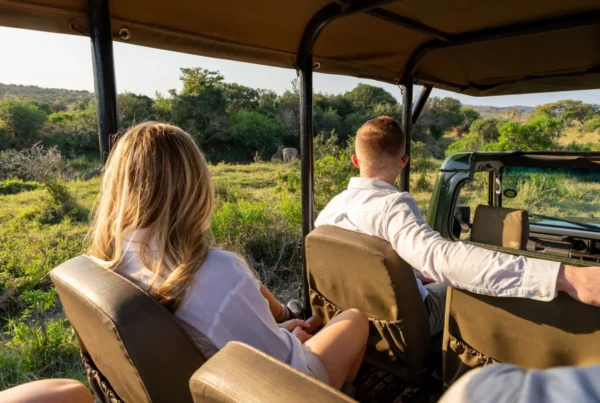First Class Safari Experience