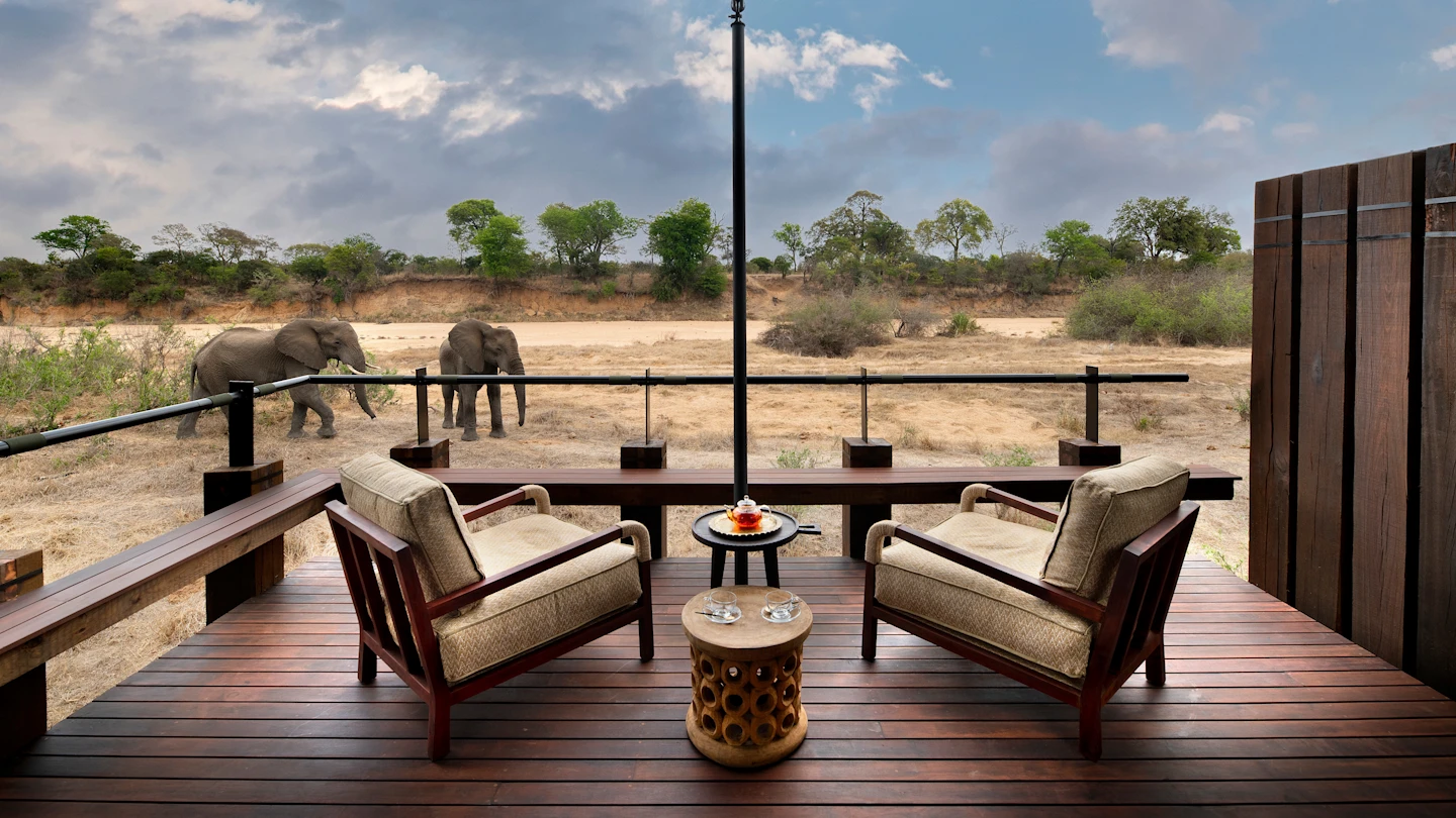 First Class Safari Experience