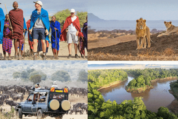 Impeccable 10 Day Gorillas and Maasai Mara Itinerary