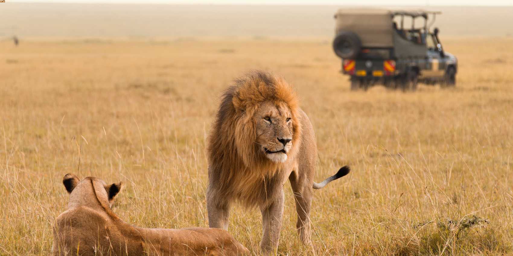 Impeccable 10 Day Gorillas and Maasai Mara Itinerary