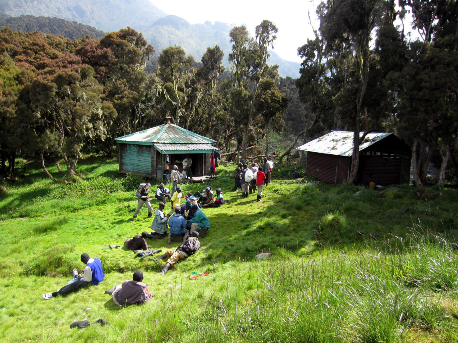 Rwenzori Mountains Trekking Itinerary for First-Time Climbers