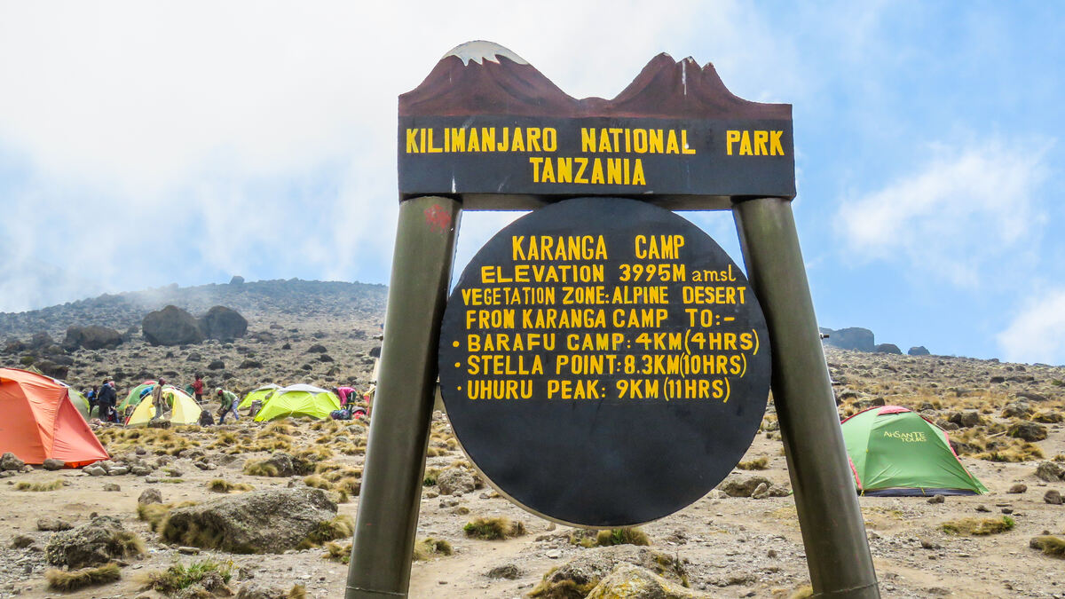 8 Days Lemosho Route – Climb Mount Kilimanjaro