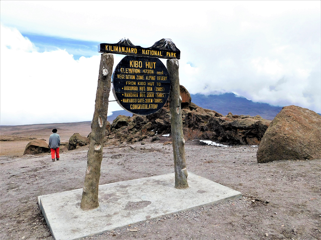 7 Days Rongai Route – Climb Mount Kilimanjaro