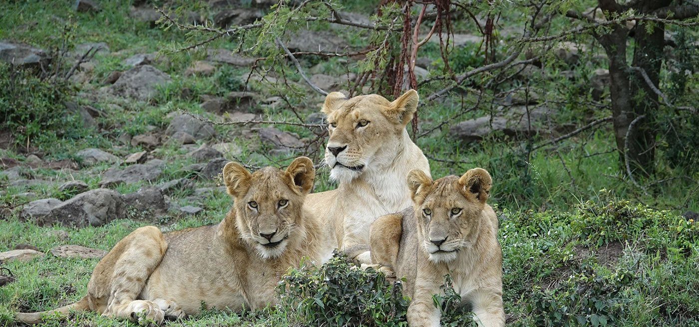 Kidepo Valley National Park