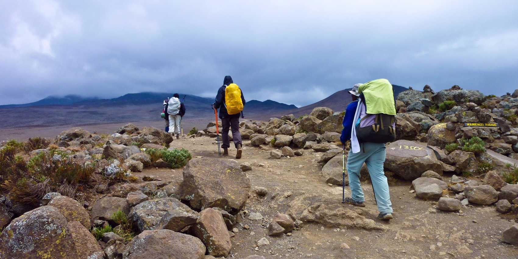 Kilimanjaro Mountain Climbing Guides: Difficulty, Best Season, Cost, Success Rate
