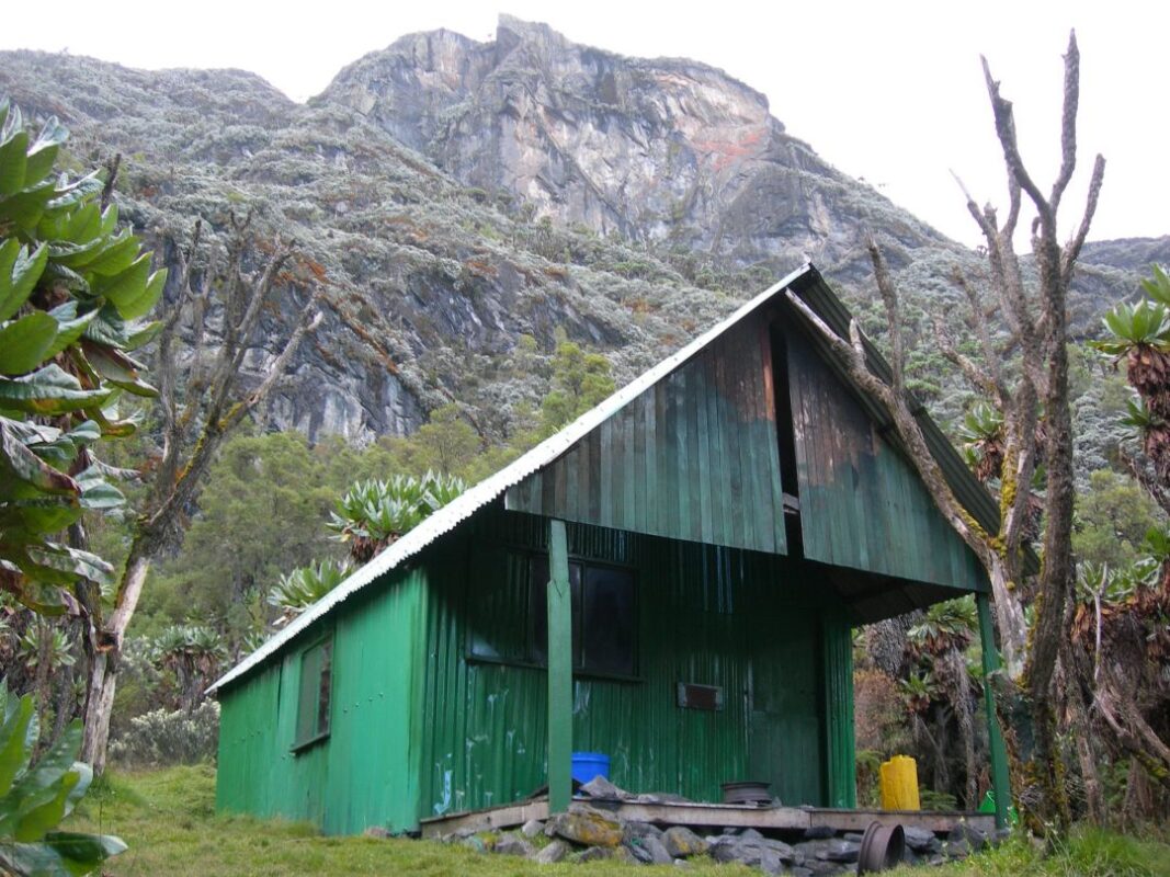 7 Day Rwenzori Mountains Hiking Itinerary (Central Circuit Short Route)