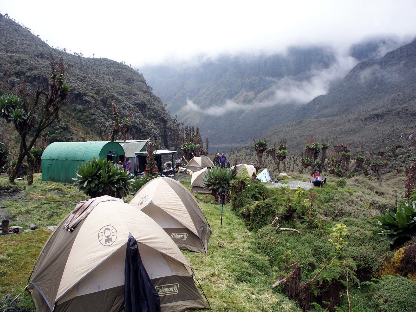 Rwenzori Mountains Full Climbing Itinerary (Central Circuit + Kilembe Trail)