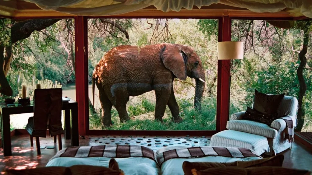 Luxury African Safaris