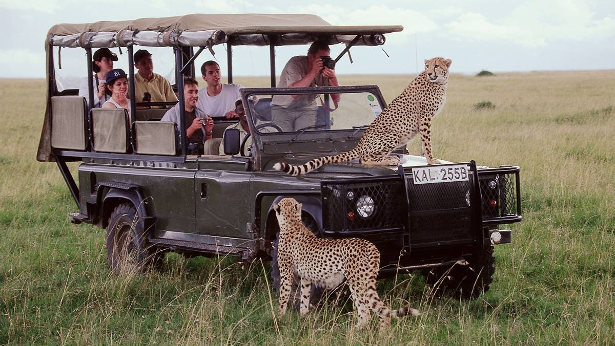 Maasai Mara Safari