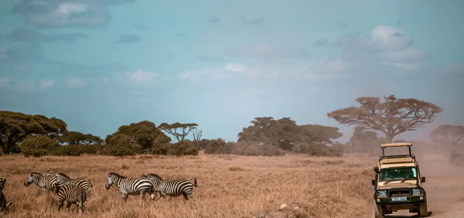 Magical Kenya