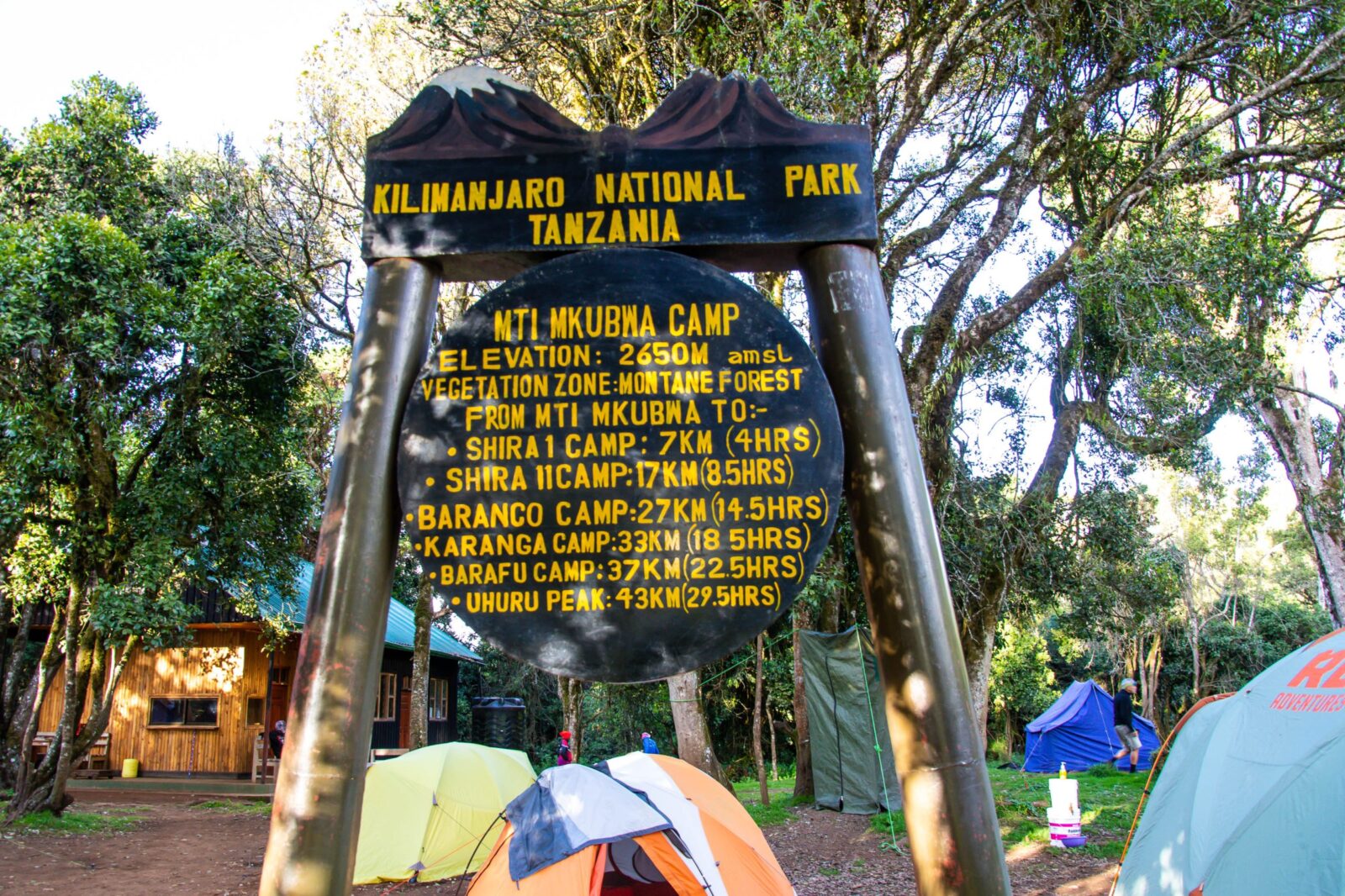 8 Days Lemosho Route – Climb Mount Kilimanjaro