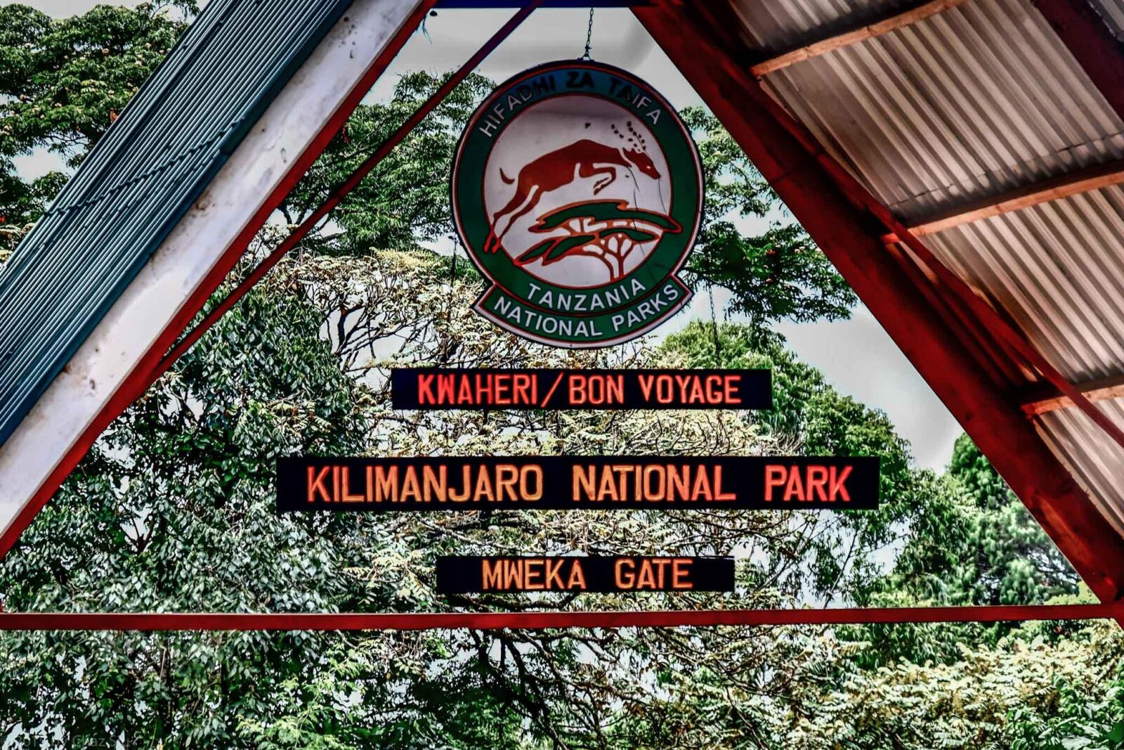 9 Days Northern Circuit Route – Climb Mount Kilimanjaro