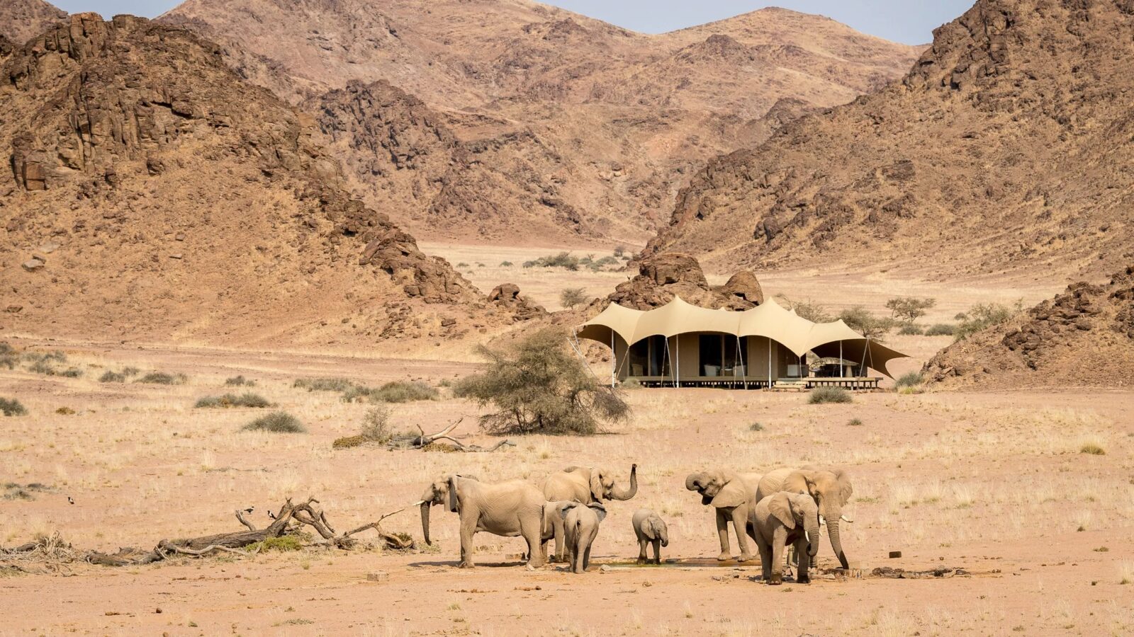 Namibia Safari