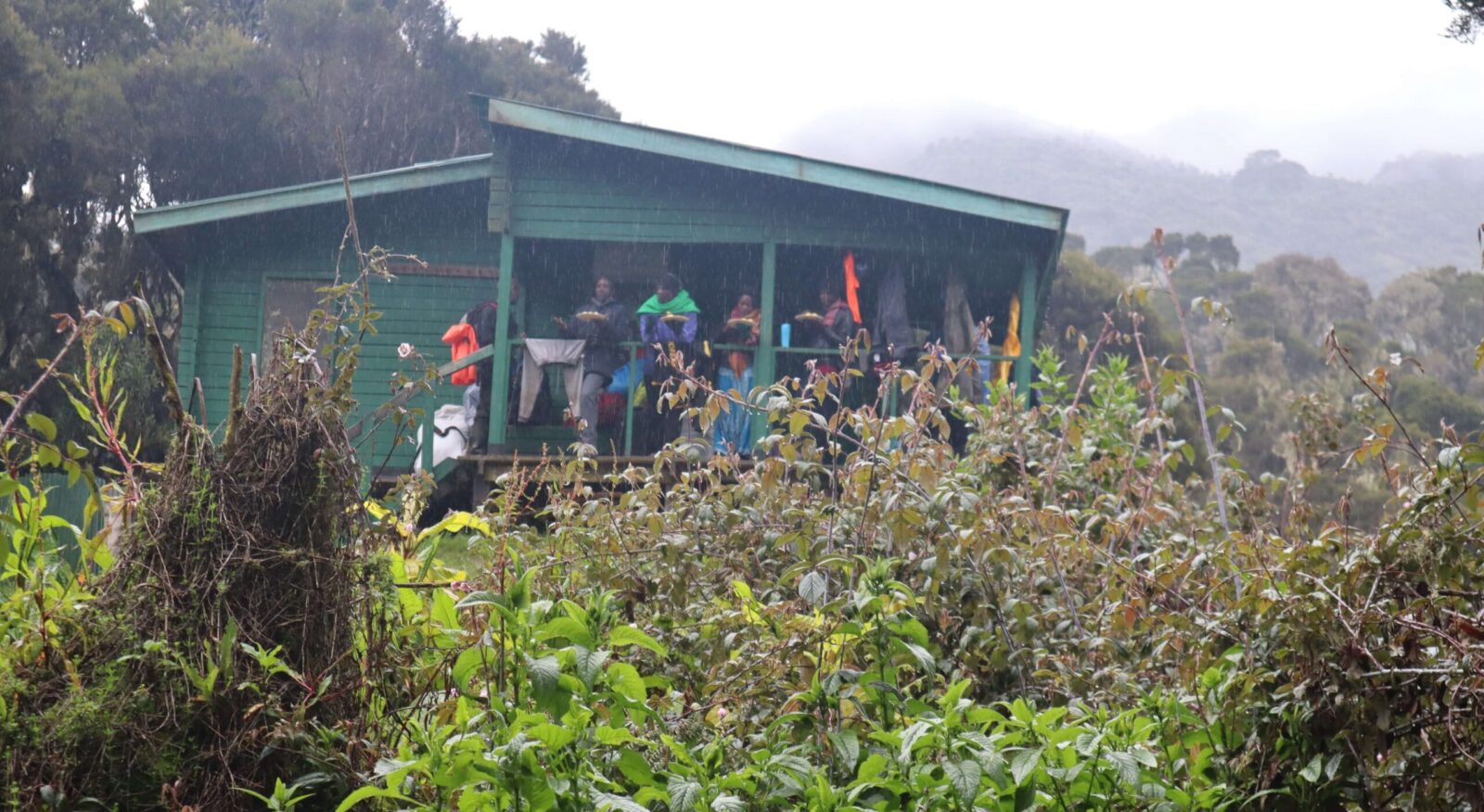 9 Day Rwenzori Mountains Central Circuit Itinerary