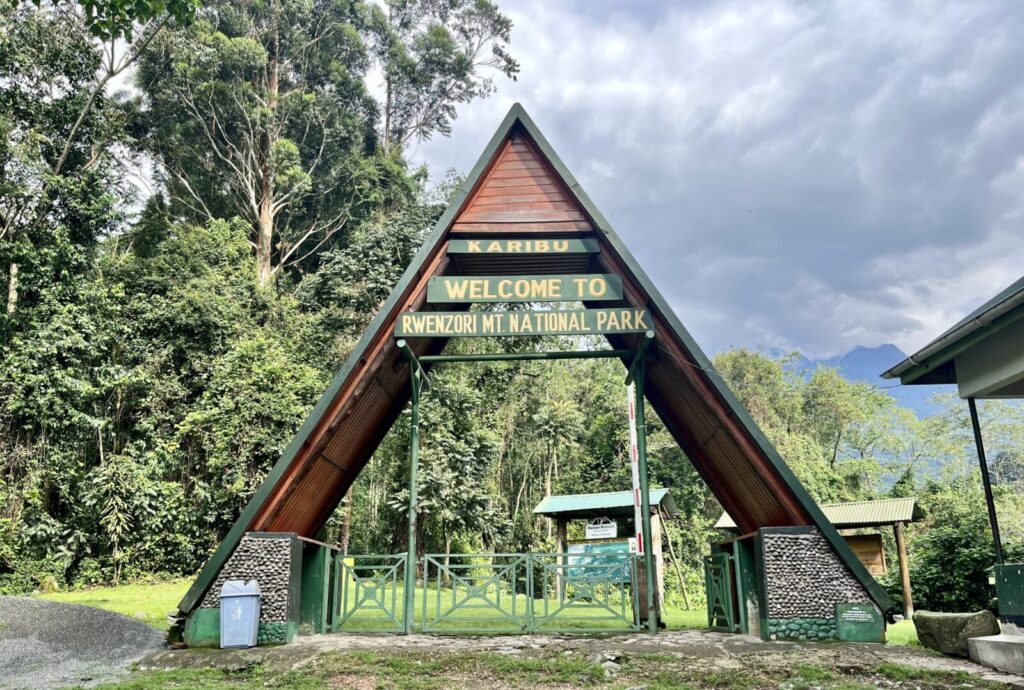 Rwenzori Mountains Full Climbing Itinerary (Central Circuit + Kilembe Trail)