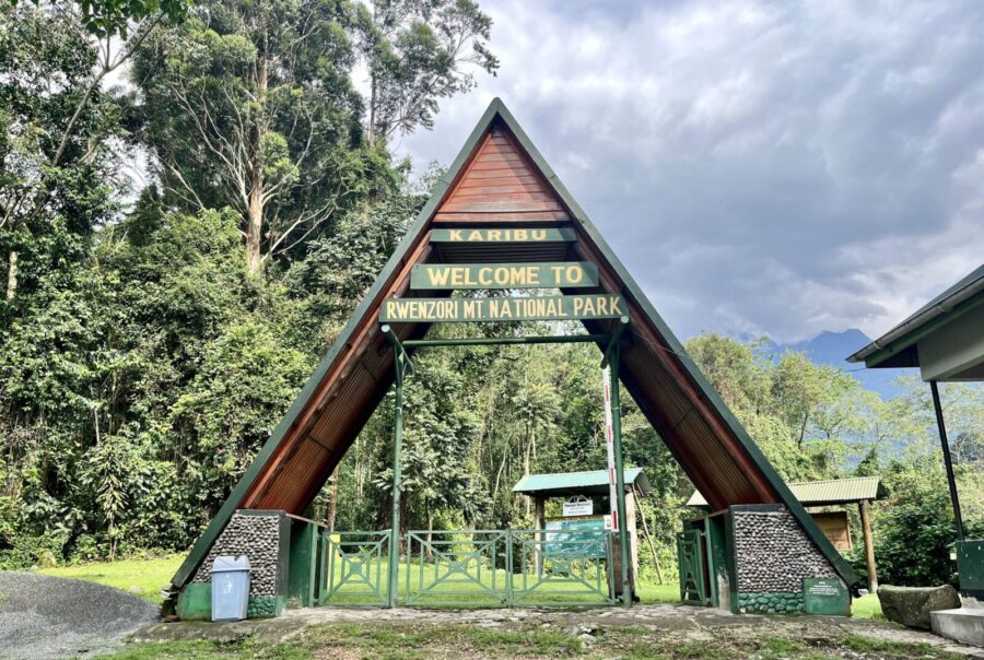 Rwenzori Mountains Full Climbing Itinerary (Central Circuit + Kilembe Trail)