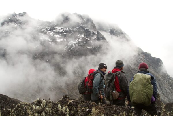 Rwenzori Mountains Summit Climb Itinerary to Margherita Peak