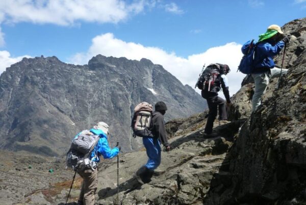 Rwenzori Mountains Trekking Itinerary for First-Time Climbers