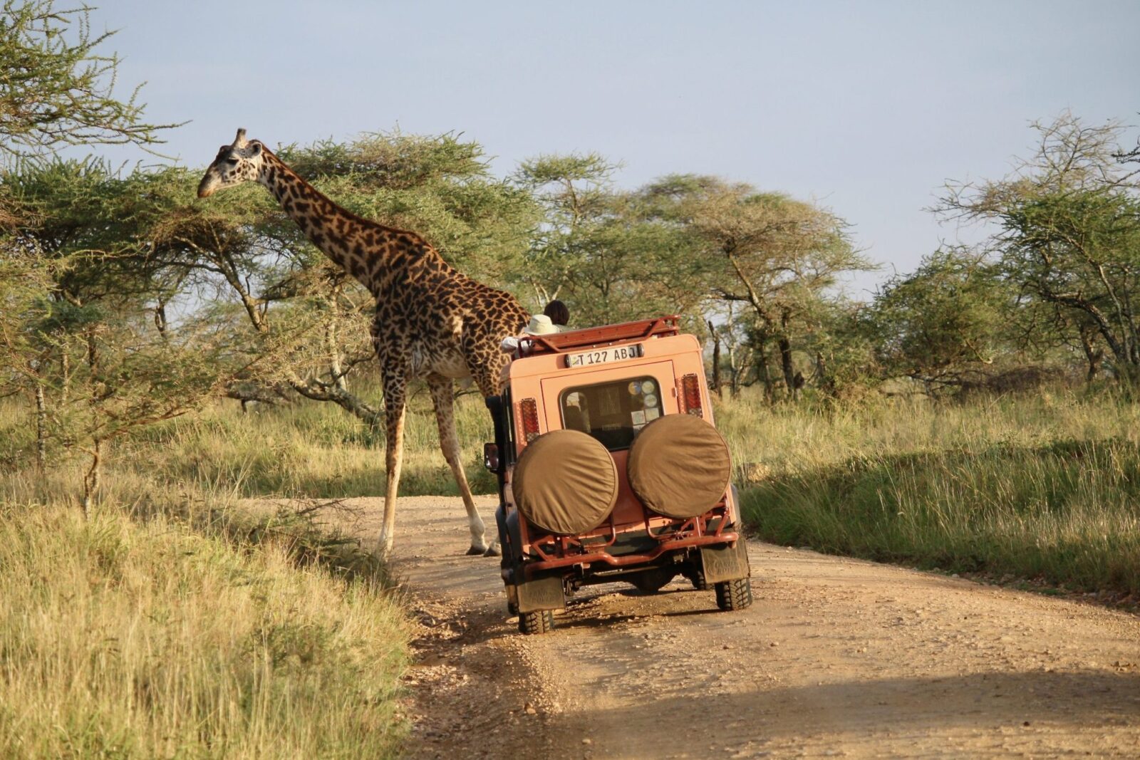Finest safari experience in the Serengeti